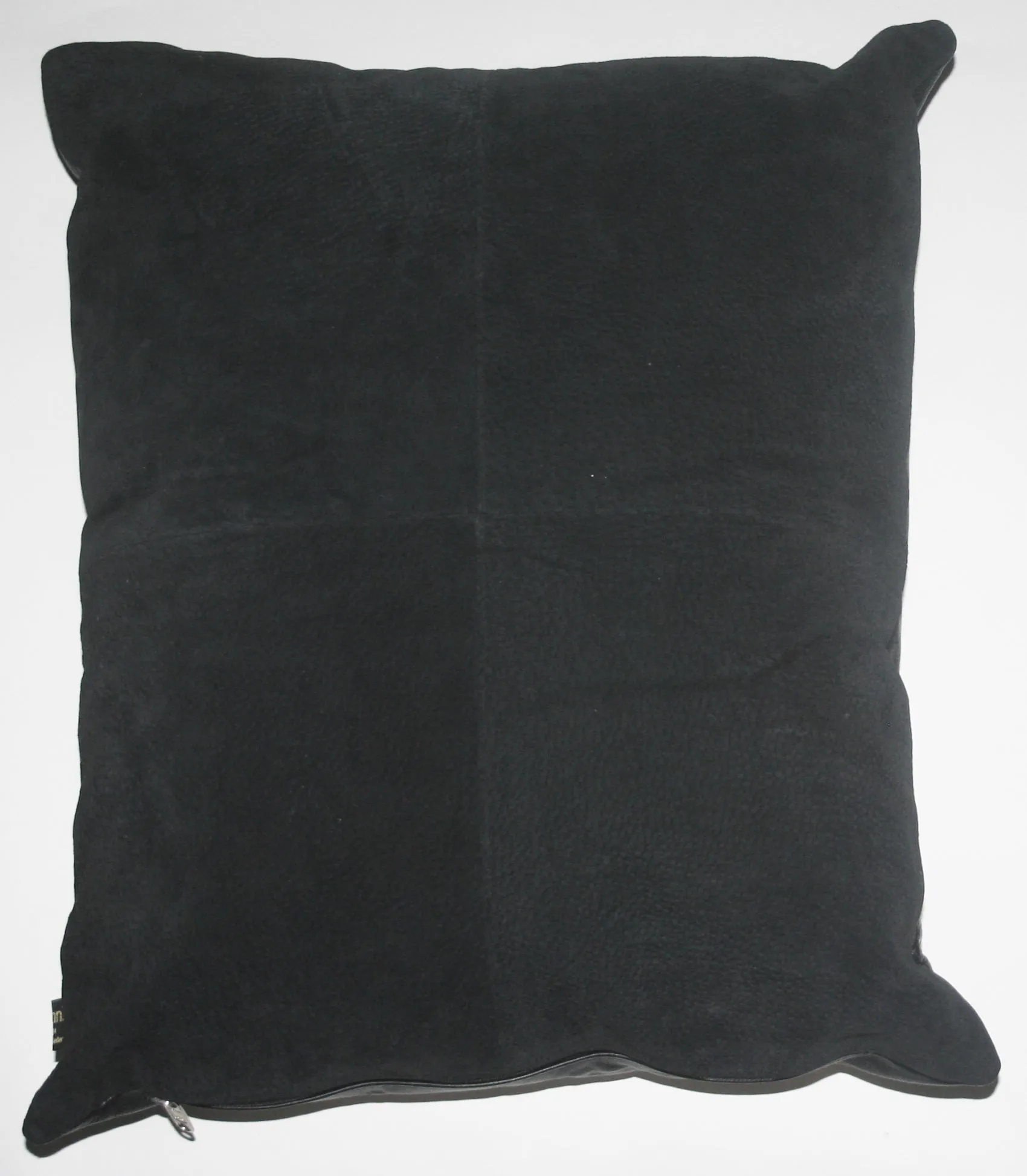 African Lion Original Art Pillow Cover