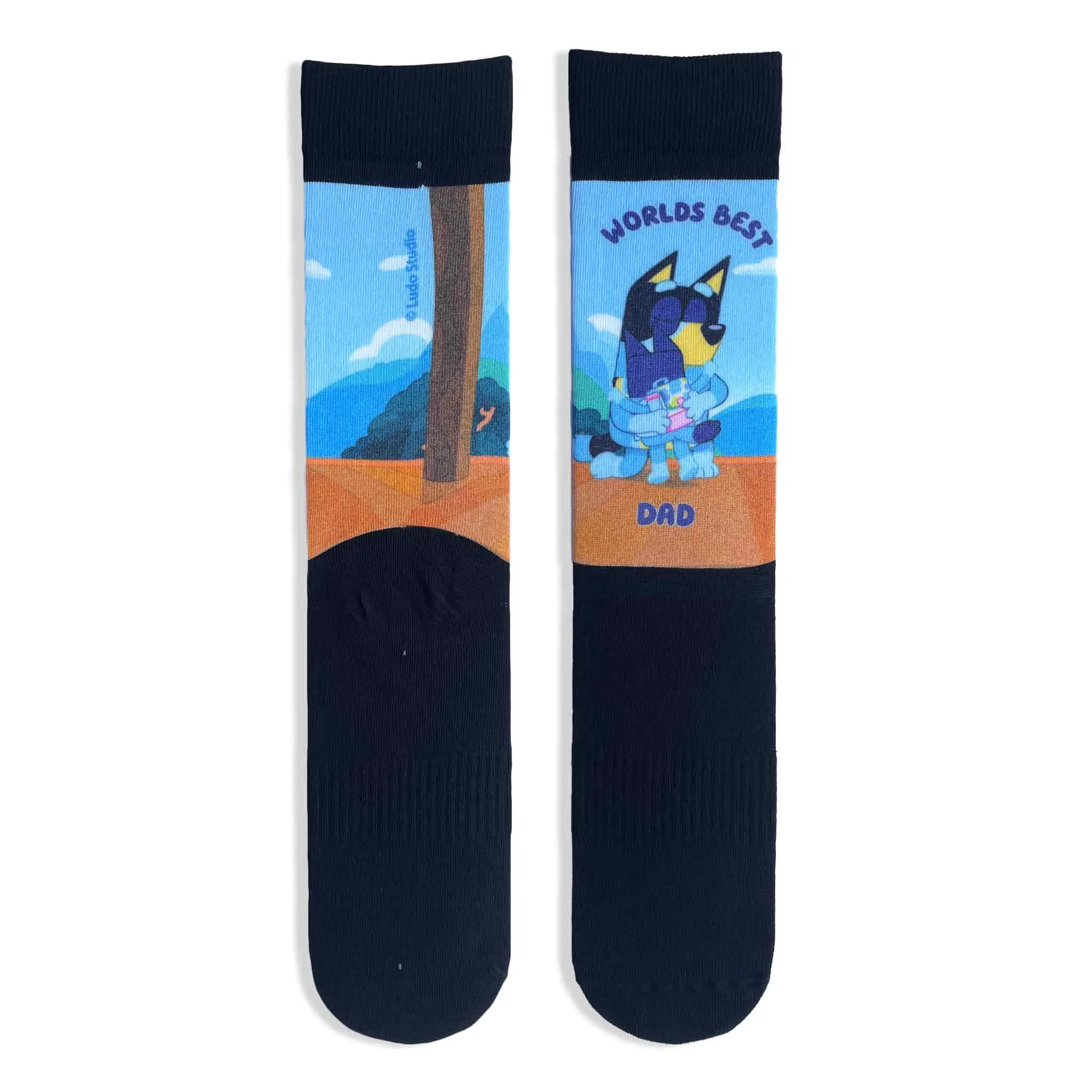 Bluey 'World's Best Dad' Adult Printed Socks