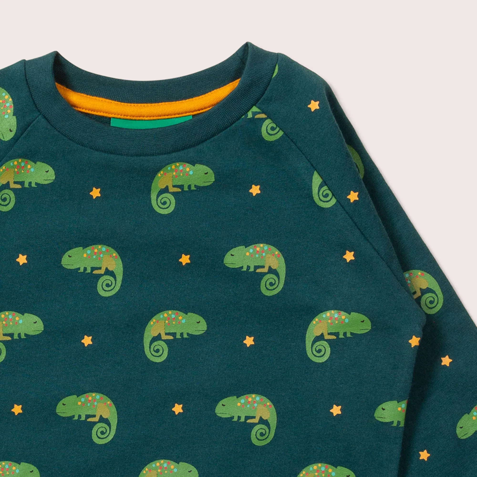 Little Lizard Marl Raglan Sweatshirt