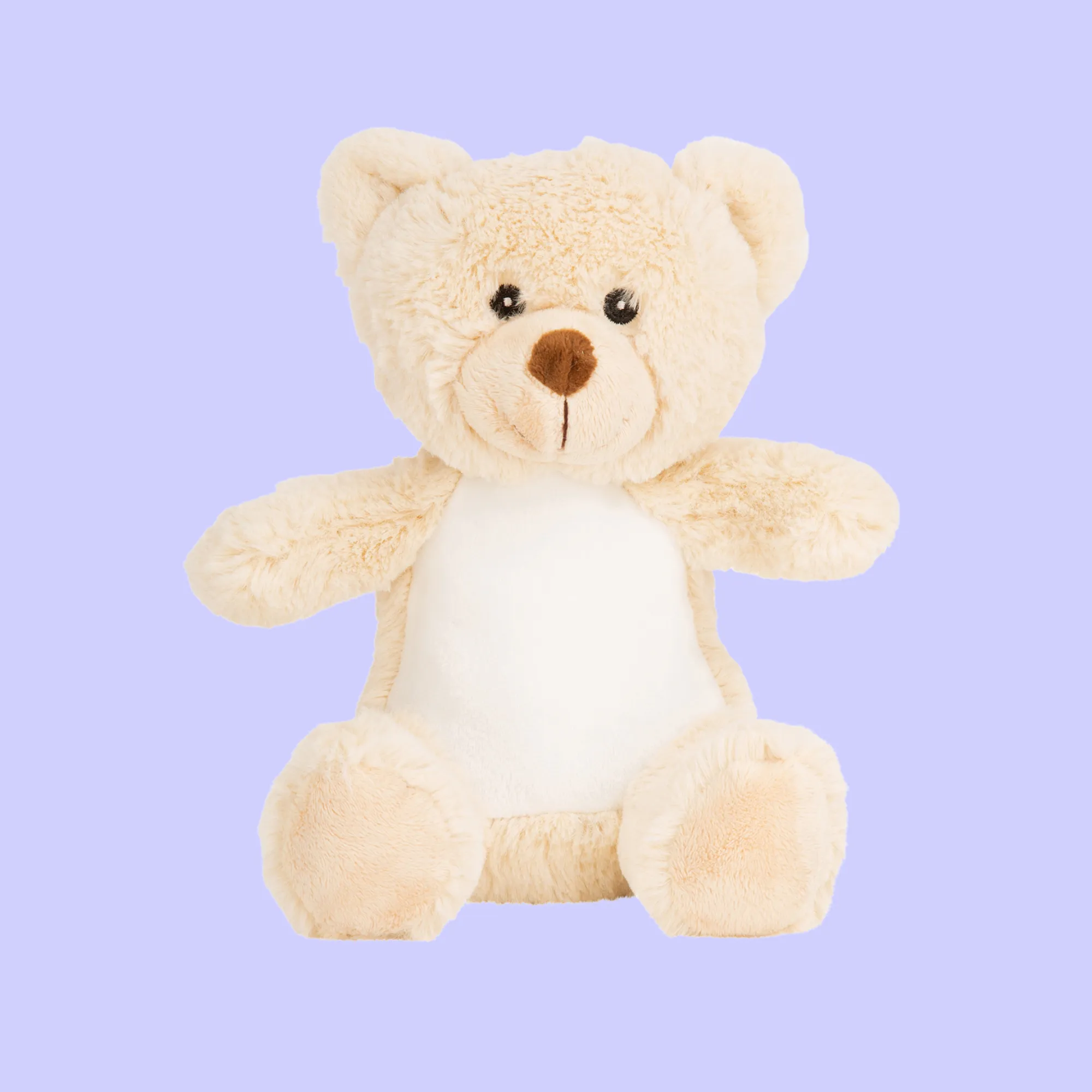 Personalised Teddy Bear Soft Toy