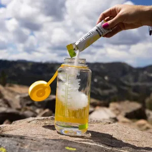 Skratch Labs Sport Hydration Drink Mix - Single