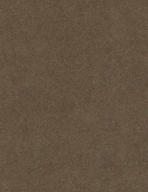 Suede Charade-sparrow