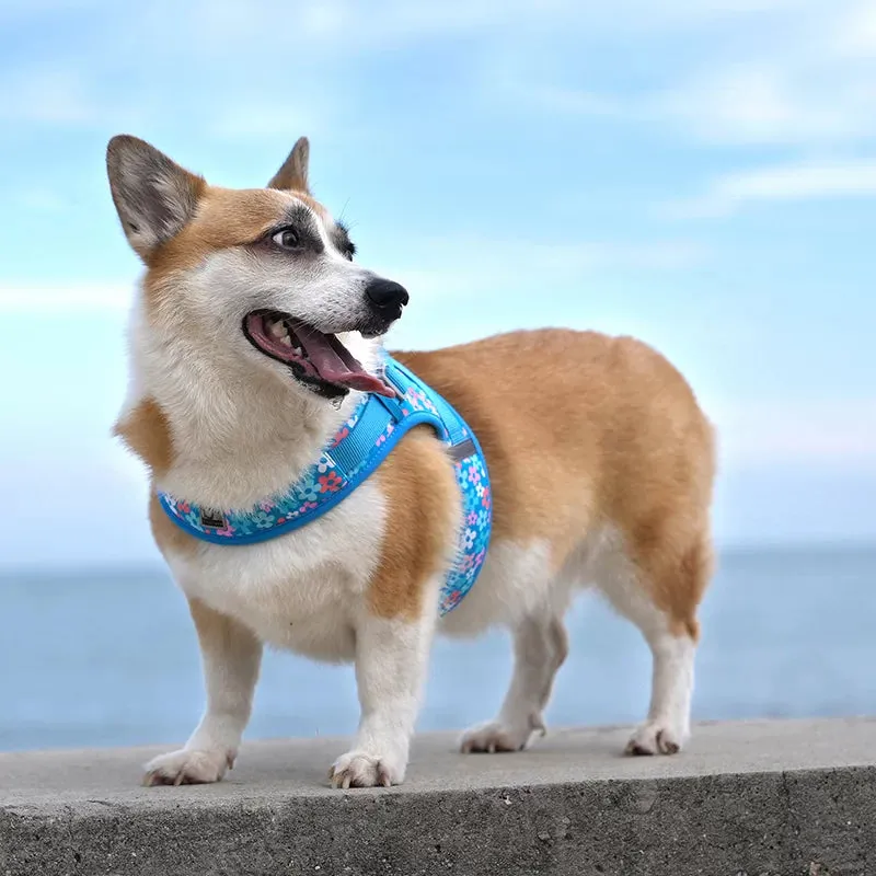TrueLove Dog Harness TLH30131 - Brown