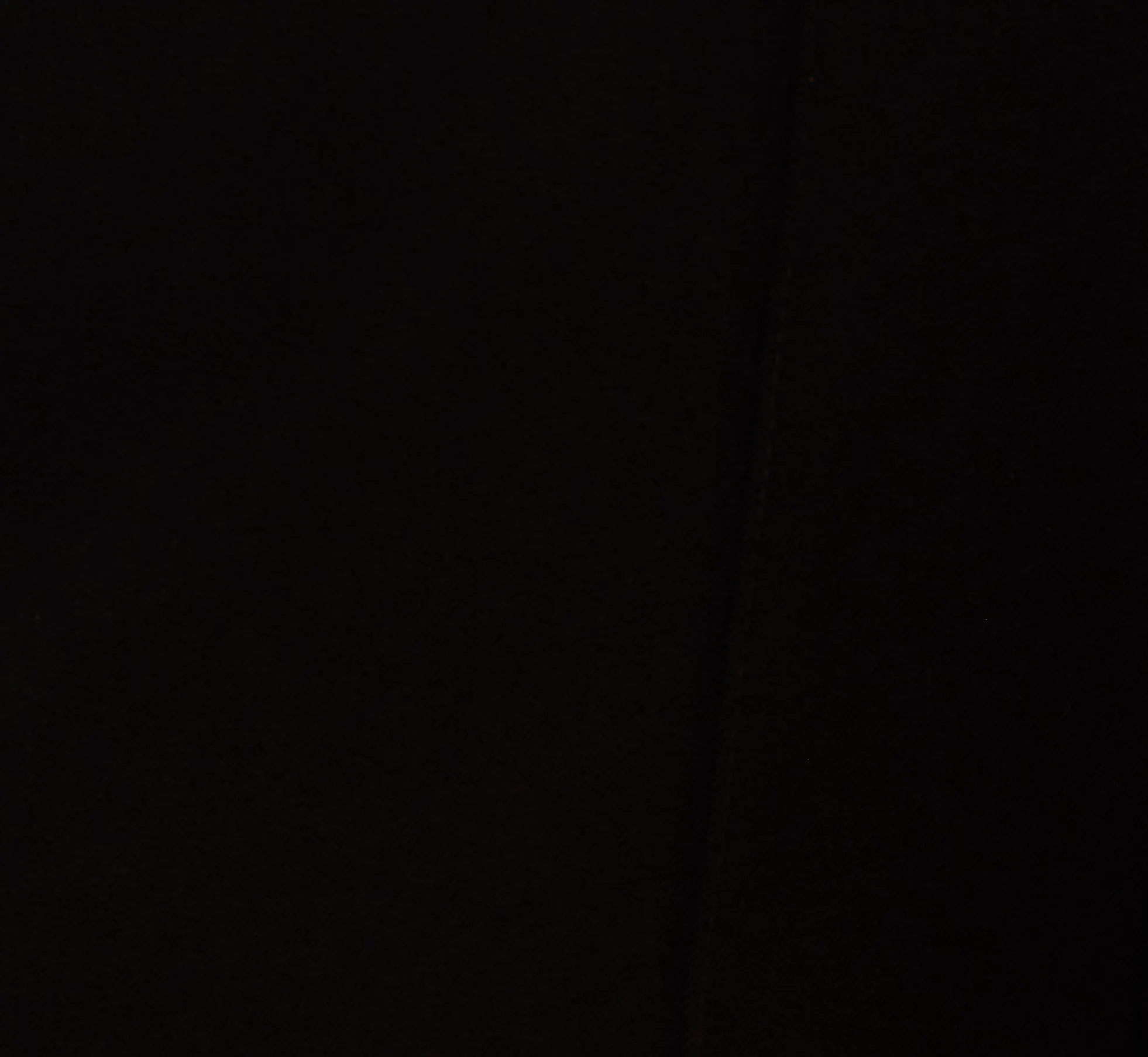 Twill Zip Fly Belted Wide Leg Pant In Black