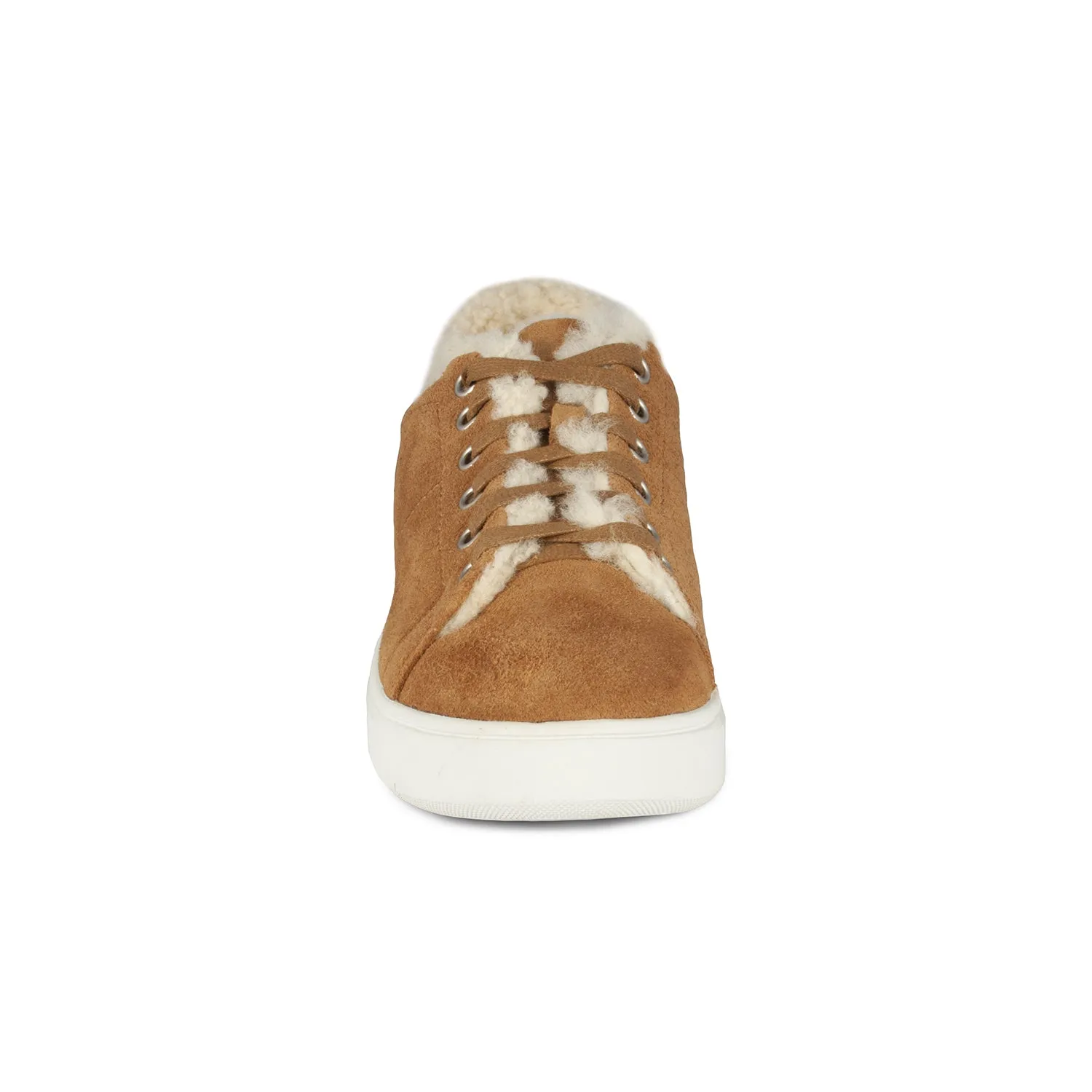 Women's Holly Sheepskin Sneaker